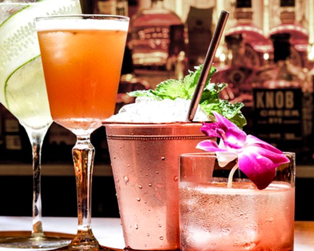 the VNYL: Up to 53% Off Dinner & More